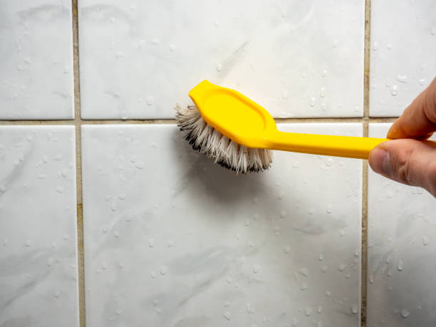 Best Mold Testing  in Gainesville, TX