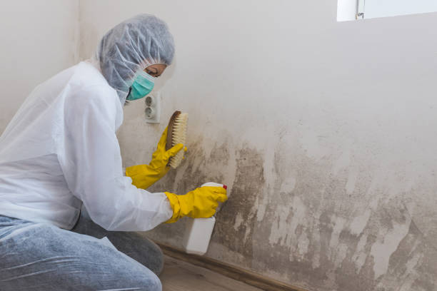 Best Crawl Space Mold Removal  in Gainesville, TX