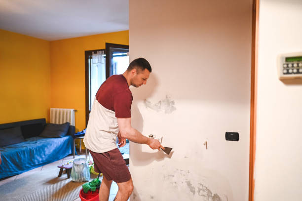 Best Office Mold Removal Services  in Gainesville, TX
